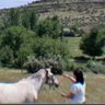 Amine'🍃 profil fotoğrafı