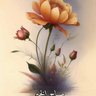 Profilbild von هنا موجود