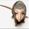 Dann's profile picture