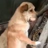 Ercan 的头像