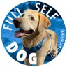 Фото профиля Full Self-Dog (unsupervised)