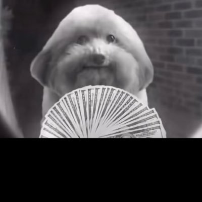 _outlooktv's profile picture