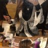 naju 的头像