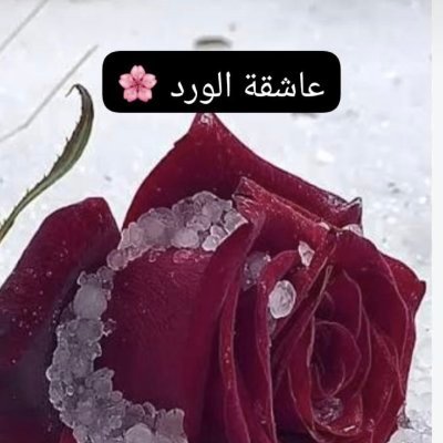 hending1988's profile picture