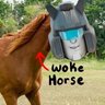 Profilbild von woke honse