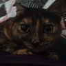 Profilbild von ju