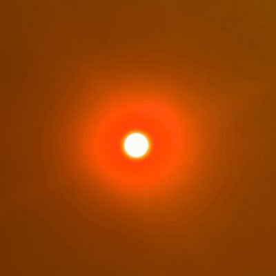brentkearney's profile picture