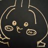 にゃんこ不足😺🐾's profile picture