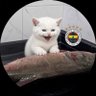 MERT 1907's profile picture
