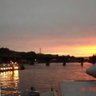 Elisabetta R.C 🇱🇹🇮🇹🇪🇸🇺🇸🇨🇭's profile picture