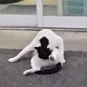Stack3's profile picture