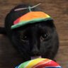 Guiozy's profile picture