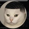 ControllerUVKeplerian's profile picture