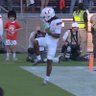 dom🐬's profile picture