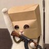 Adimar's profile picture