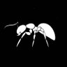 Ayichyen 🐜 🐜's profile picture