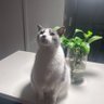 Joshua78's profile picture