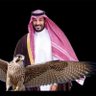 علي الغامدي 的头像