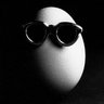 Eggshell profil fotoğrafı