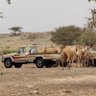 Profilbild von النعماني