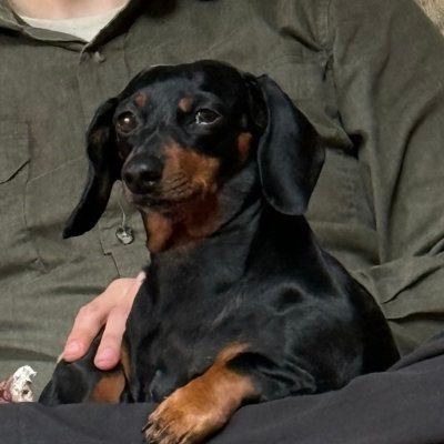 FalconryFinance's profile picture