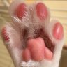 Фото профиля ひろっぺ💙🐾