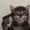 Profilbild von Will