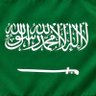 Profilbild von سعودي أول وتالي