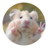 もっちゅりん👶 profil fotoğrafı