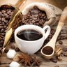 ะคะพัะพ ะฟัะพัะธะปั Coffee Lord