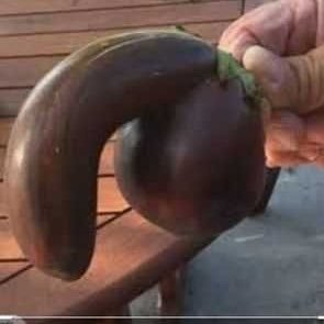 HungDicENT's profile picture