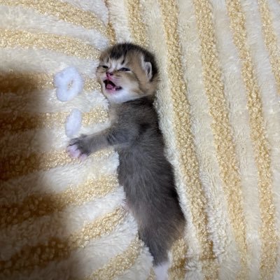 9DJHe3CUFh29674's profile picture