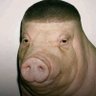 Profilbild von DeepestState