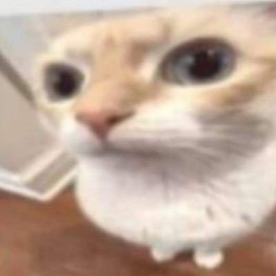 taytarantula's profile picture