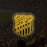 تـايـقـر 🐅 العـمـيـد 🖤💛 的头像