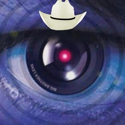 LeeSchever's profile picture