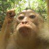 mymun profil fotoğrafı