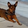 Nika Nika profil fotoğrafı