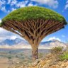 عاصم غانم 的头像