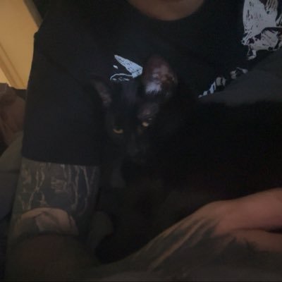 Kingzsic's profile picture