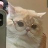 Profilbild von momoyo