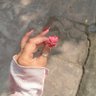 Moonie's profile picture