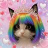 🐾猫姫特攻隊🐾 profil fotoğrafı