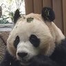 김복보 的头像