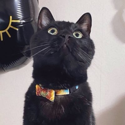 keytailuni's profile picture