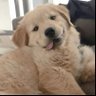 𝓶𝒐𝒓𝐣𝐨𝐫 เจ่ง 𓅹's profile picture