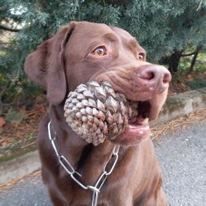 villamatilde62's profile picture