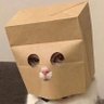 zeri_terminal's profile picture