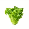 Profilbild von JustLettuce_