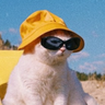 cooljayvibe's profile picture